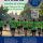 Torna la Marxa contra el Càncer a Andratx 💚📅 8 de febrer🕚 A les 11.30 h📍 Plaça d’EspanyaAndr